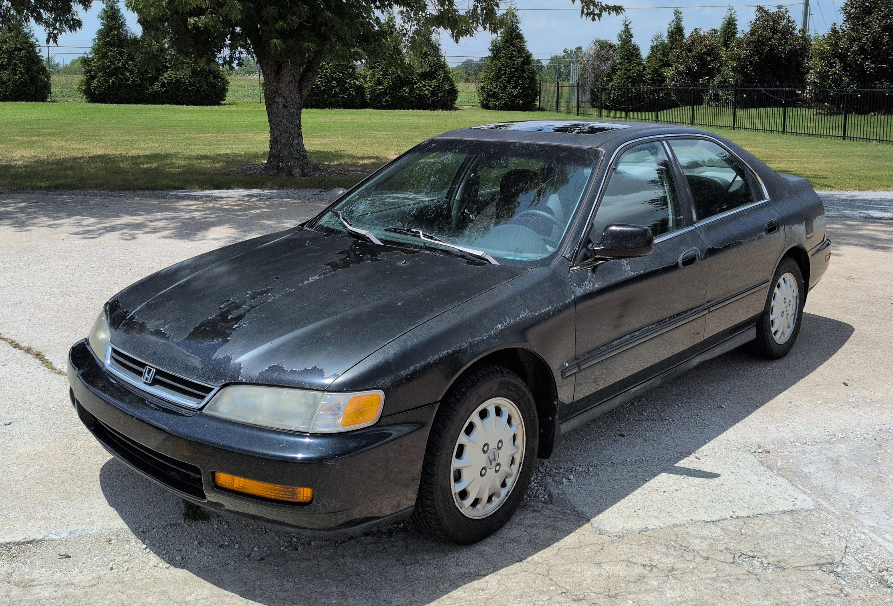honda accord picture